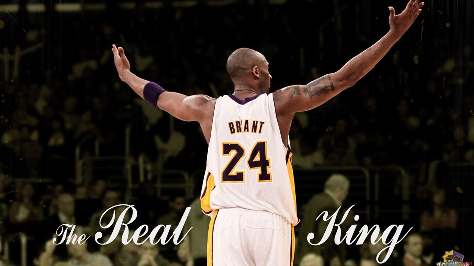 加克波接管F1南非站，一场赛车与地缘的意外收割